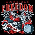 American Freedom Bike